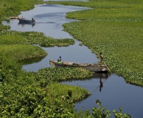 Etude de Faisabilité des Ouvrages de Remplissage et de Vidange des Cuvettes du Bassin du Fleuve Sénégal (8500 ha)