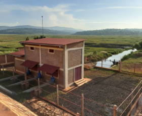 Actualisation des Etudes, des Plans, des Devis et la Confection des Dossiers d’Appel d’Offres pour l’Aménagement Hydro-agricole des Marais de Nyavyamo (300 ha) et Kabuyenge (232 ha) en Province Kirundo