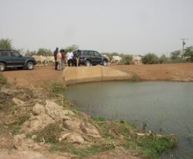 Assistance Technique pour la Mise en Œuvre du Programme de Lutte Contre les Végétaux Aquatiques Nuisibles dans le Delta et la Basse Vallée du Fleuve Sénégal
